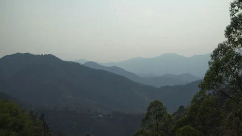 走进云浮这个村,你会发现