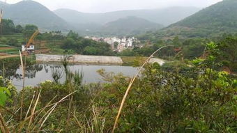 我的云浮 –