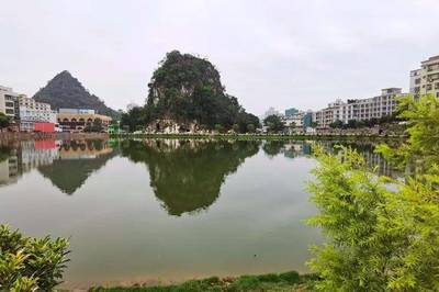 云浮市城区又将多一座公园,快来看看在哪里!