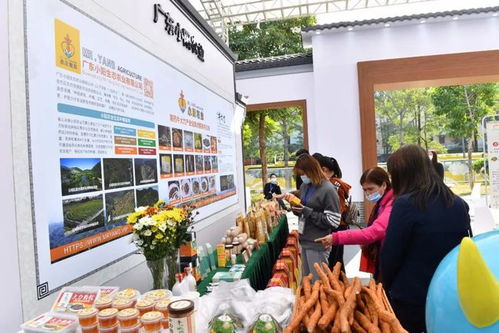 南药大会进行中 这些方面值得关注
