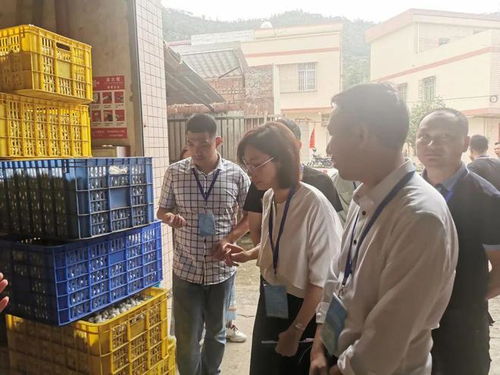 地市动态 中山共青团携手青年企业家走进云浮产业考察活动顺利开展