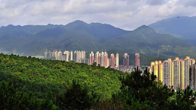 云浮市人民政府门户网站
