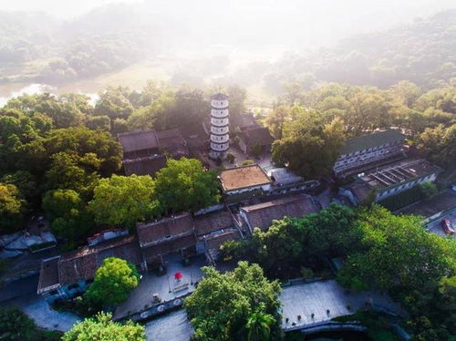 广东云浮一顶级温泉度假酒店开业,泡天然硫磺温泉,帝王般享受