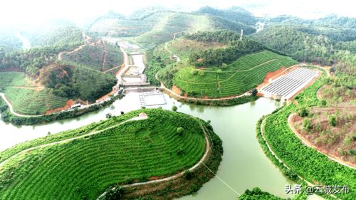 云城区 建好现代农业产业园 引领产业振兴加速跑